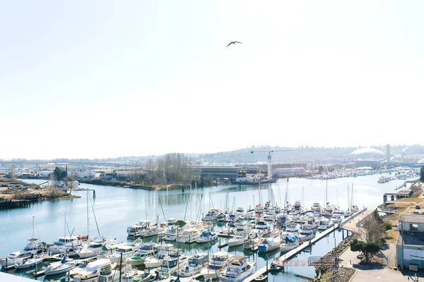 Tacoma Waszyngton Usa Marzec 2021 Jachty Puget Sound — Zdjęcie stockowe