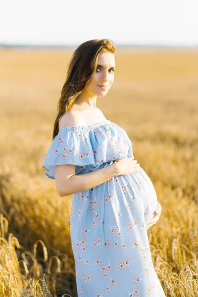 Gravid Kvinna Blå Klänning Står Ett Rågfält Vid Solnedgången Och — Stockfoto