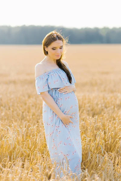 Schwangere Braunhaarige Frau Mutterschaftsurlaub Einem Hohen Gerste Weizen Feld — Stockfoto