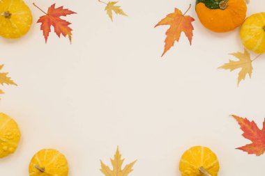 Sonbahar kompozisyonu. Sarı küçük balkabakları ve düşmüş sarı yapraklar bej arka planda. Sonbahar, sonbahar, Cadılar Bayramı konsepti. Düz düzen, üst görünüm, boşluğu kopyala