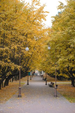 Minsk, Belarus. Ekim 2020. Sonbaharda Botanik Bahçesi 'nin merkez girişi.