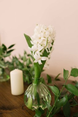 Tahta bir masadaki cam vazoda beyaz, narin bir sümbül çiçeği. Kutlama tablosu dekoru