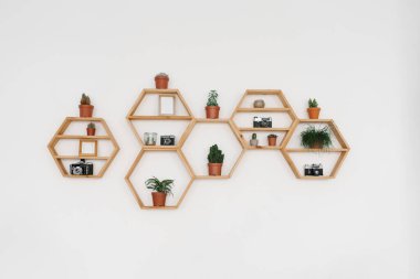 Işık duvarındaki ahşap altıgen raf. Saksıdaki evler, fotoğraf çerçeveleri, retro kameralar.