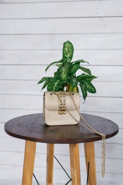 Arka plandaki kahve masasının üzerinde duran bej rengi küçük kadın çantası.