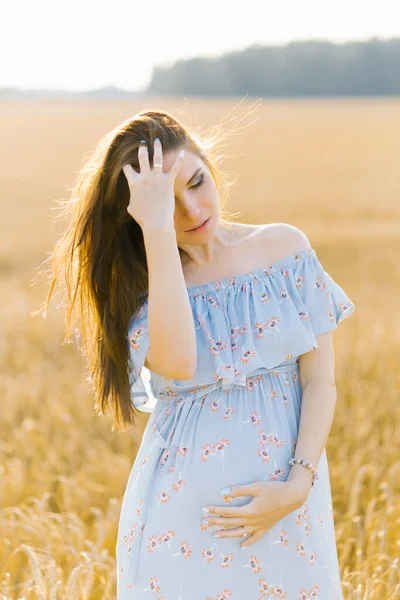 Zarte Schwangere Gehen Auf Einem Feld Spazieren Dame Blauen Kleid — Stockfoto