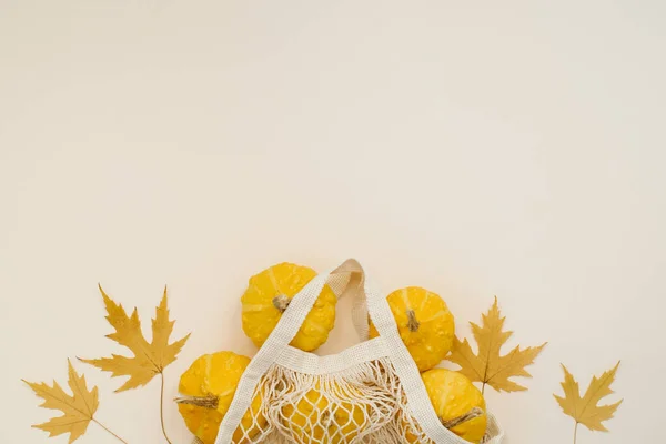 Gele Ronde Kleine Pompoenen Een Milieuvriendelijke Mesh Bag Gevallen Esdoorn — Stockfoto