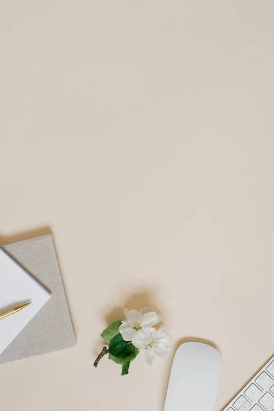 Munkaterület Számítógéppel Fehér Virágokkal Írószerekkel Pasztell Bézs Háttérrel Távolsági Munka — Stock Fotó