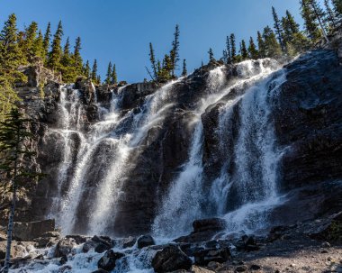Columbia Icefields Parkway boyunca Tangle Creek Şelalesi manzarası, Alberta güneşli mavi bir gökyüzü gününde.