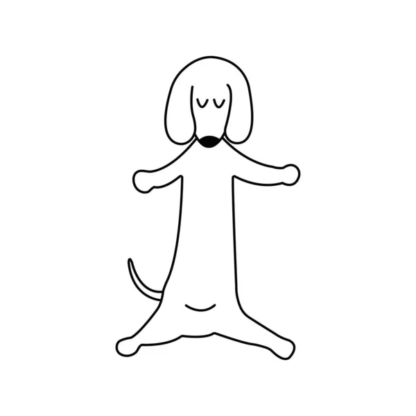 Dachshund Yogaストックベクター ロイヤリティフリーdachshund Yogaイラスト Depositphotos Dachshund Yogaストックベクター ロイヤリティフリーdachshund Yogaイラスト Depositphotos