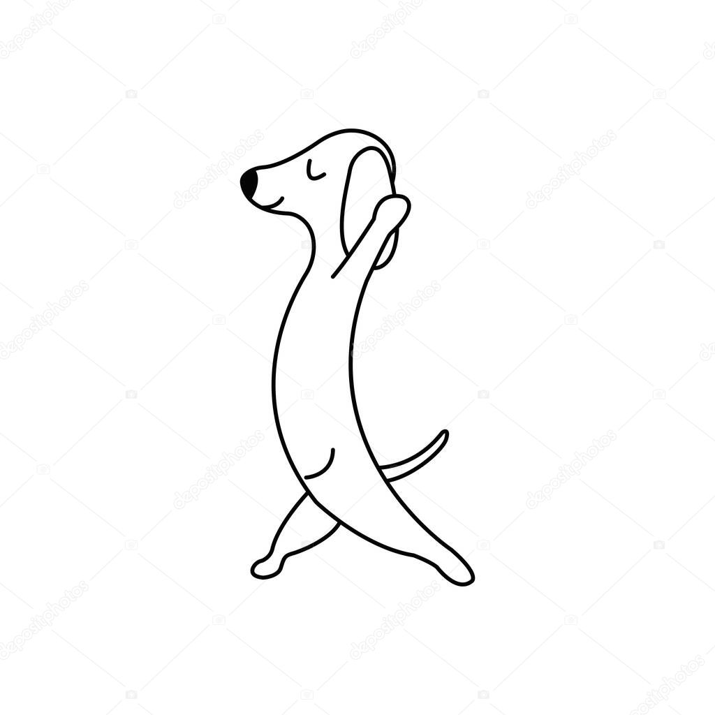 Dachshund practices yoga and meditates standing. Yoga dog, relaxation and sports. Vector isolated doodle illustration. Hand drawn animal black and white