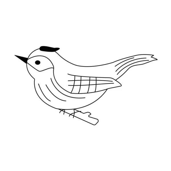 Roztomilý Pták Sedí Větvi Černobílý Vektor Izolované Ilustrace Stylu Doodle — Stockový vektor