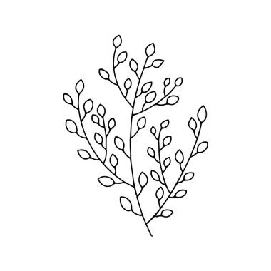 Karalama tarzında yapraklı bir karışım. Siyah ve beyaz vektör ilkbahar ve yaz mevsimlerinde izole edilmiş.