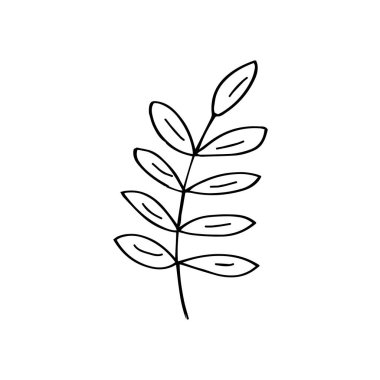 Karalama tarzında yapraklı bir karışım. Siyah ve beyaz vektör ilkbahar ve yaz mevsiminde elde çizilen dalları izole ediyor.