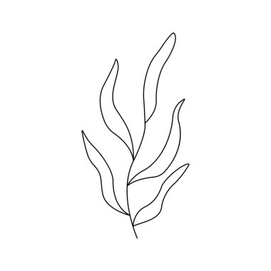 Deciduous plant. Twig with leaves. Black and white vector doodle style illustration