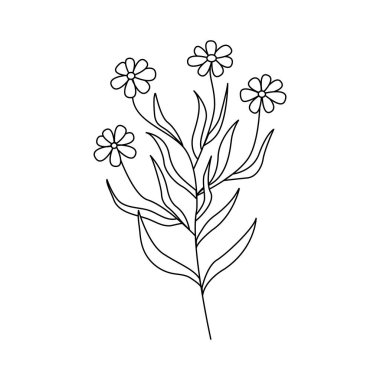 Chamomile flowers. Twig with several flowers daisy. Black and white vector doodle style illustration