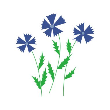 Çiçek. Üç kır çiçeği. Renkli el çizimi vektör illüstrasyonu