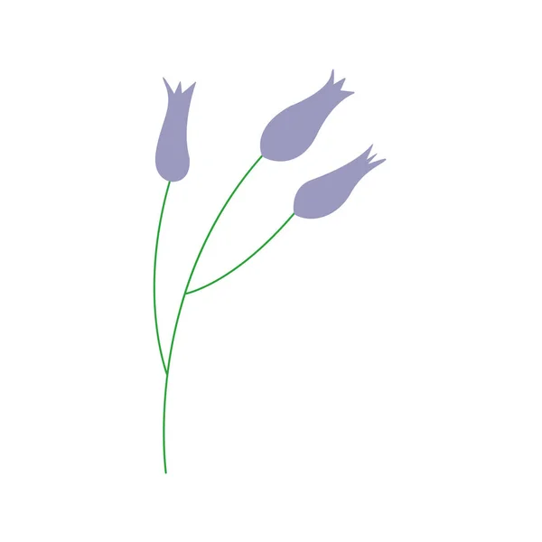 Flores Selvagens Prado Galho Com Três Botões Ilustração Isolada Vetorial —  Vetores de Stock