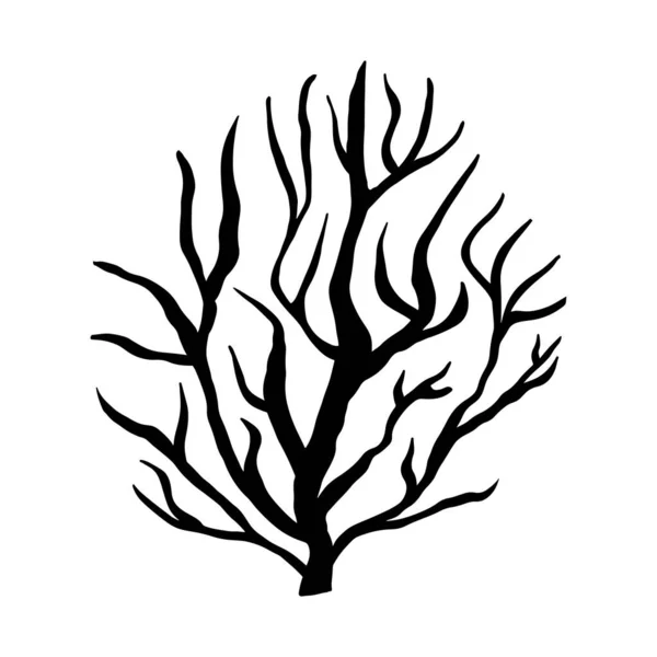有分枝的树黑白矢量孤立的涂鸦插图 有弯曲分枝的灌木的轮廓 单一图标 — 图库矢量图片