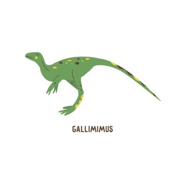 Dinozor Gallimimus. Büyük hepçil hayvan, soyu tükenmiş antik sürüngen, Jurasik dönem. Renkli vektör izole edilmiş el çizimi. Beyaz arka plan. Yeşil sevimli dino