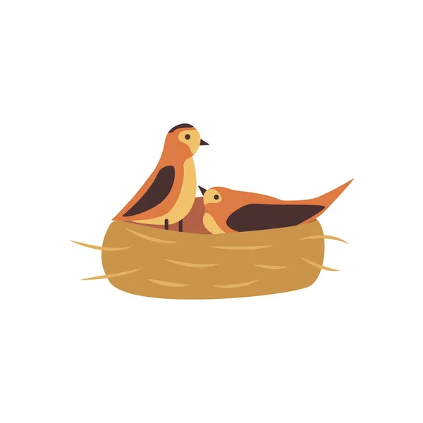 Скручене Гніздо Два Птахи Чоловічої Жіночої Статі Родина Барвиста Векторна — стоковий вектор