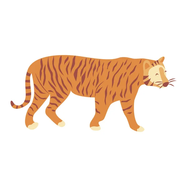 Тигр Идет Благородное Дикое Полосатое Кошачье Животное Быстрое Ловкое Цветные — стоковый вектор