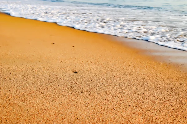 海滩上美丽的落日 — 图库照片