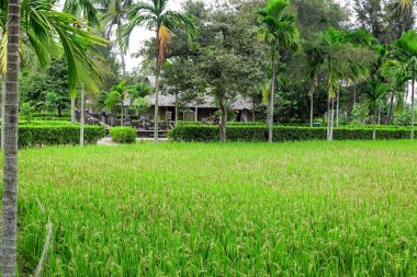 My Lai katliamı anma sitesi