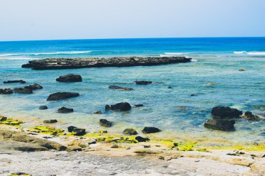 Ly oğlu Adası ve deniz