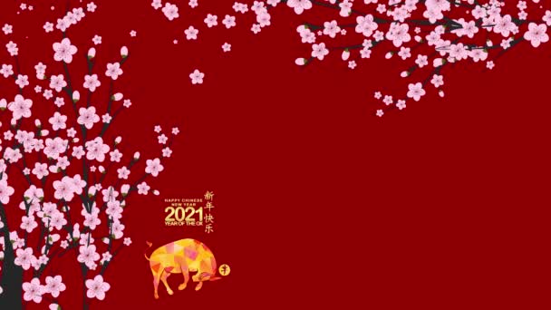 Chineză Nou 2021 Șablon Fundal Anul Boului Traducere Chineză Nou — Videoclip de stoc