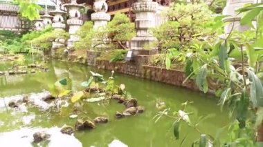 Minh Thanh Tapınağı Pleiku Vietnam