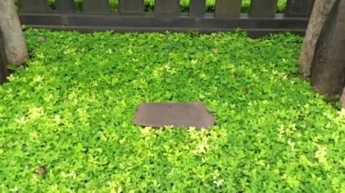 Çanlar ve müzik çanakları - geleneksel Asya müzik aletleri