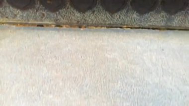 Tu Sac Khai Doan pagoda, Hue 'daki Ruong evi ile Ede' nin uzun evi Buon Ma Thuot, Daklak, Vietnam arasındaki mimari bir kombinasyondur.