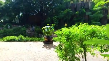 Buon Me Thuot şehrindeki kahve köyü, Dak Lak bölgesi, Vietnam