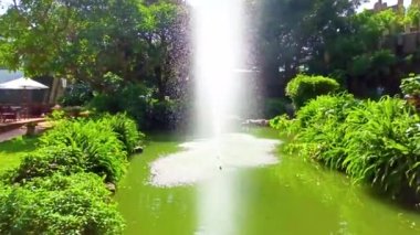 Buon Me Thuot şehrindeki kahve köyü, Dak Lak bölgesi, Vietnam