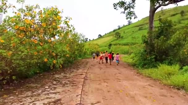 Niños divertidos y girasoles mexicanos floreciendo en el bosque, caléndula de árbol, flor de tournesol mexicano en el invierno Volcán Chu Dang Ya, Gia Lai, Vietnam — Vídeos de Stock