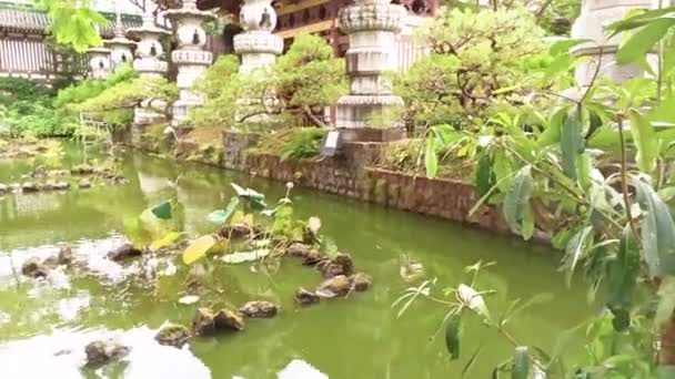 Minh Thanh Świątynia Pleiku Wietnam — Wideo stockowe