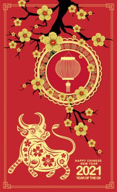 Mutlu Çin yılbaşı 2021 Ox Zodiac tabelası. Ox 'un 2021 yılındaki Çin Yeni Yılı için kiraz çiçeği arkaplanı