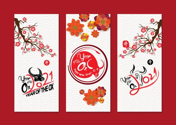 Set Happy Chinese New Year 2021 Vertical Banners Social Media — Stock Vector
