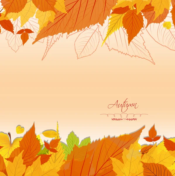 Herfst bladeren achtergrond — Stockvector