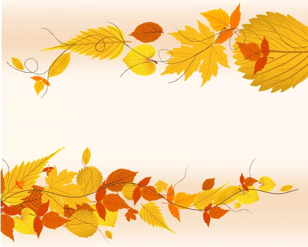 Autumn leaves background — Stock Vector