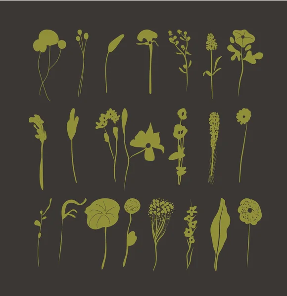 Colección de florales dibujados a mano — Vector de stock