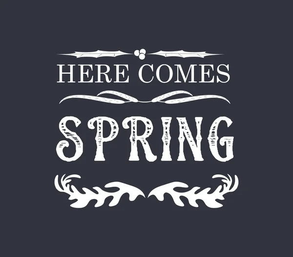 Primavera Vintage Cornici e ornamenti floreali — Vettoriale Stock