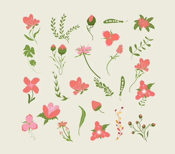 ヴィンテージのピンクの花セット — ストックベクタ