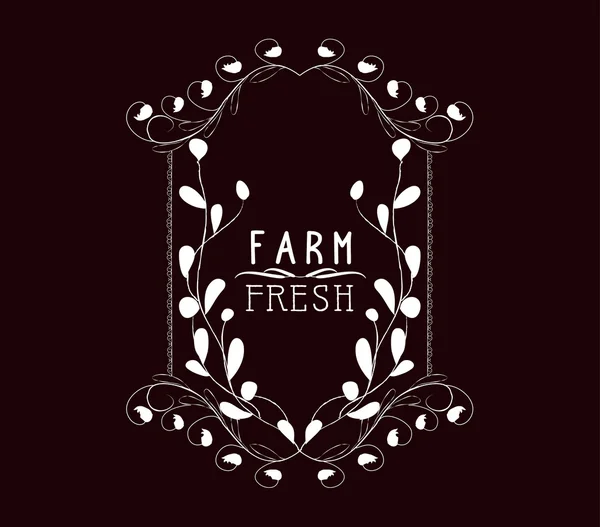 Ferme frais Cadres vintage et ornements floraux — Image vectorielle