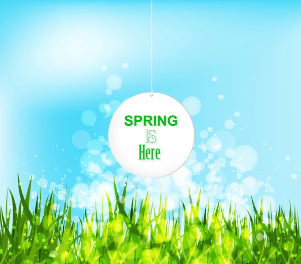 Spring is here — Stock Vector