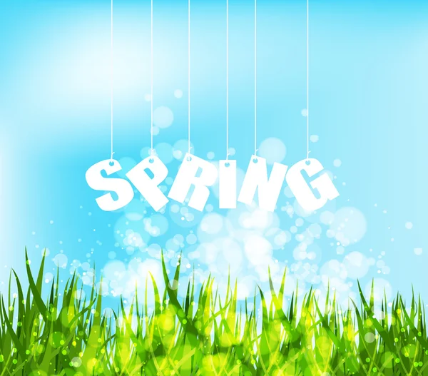 Spring word hanging on a strings background — Stock Vector