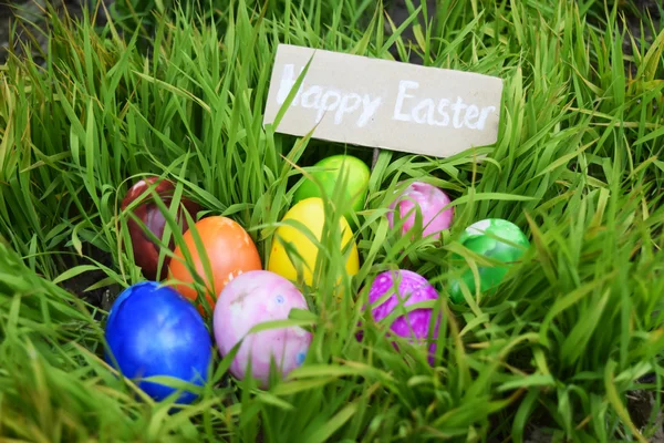 Osterei im frischen Frühlingsgras — Stockfoto