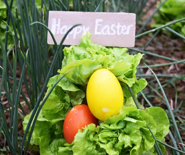 Buntes Osterei — Stockfoto