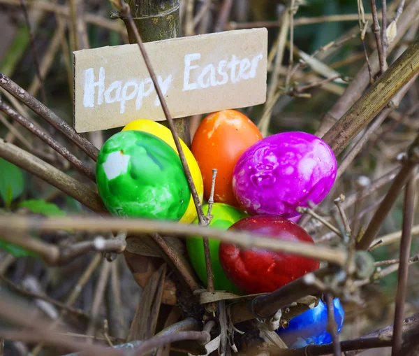 Coloridos huevos de Pascua —  Fotos de Stock