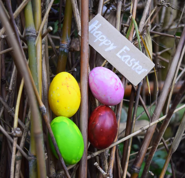 Ovos de Páscoa coloridos — Fotografia de Stock